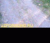 Skrinshot