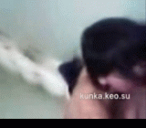 Skrinshot