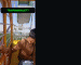 Buxoro seks videolari uzpornohd.ru