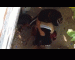 Toshkent litseyda seks video